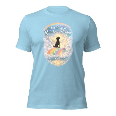 Light blue t-shirt featuring a black dog silhouette surrounded by clouds and a rainbow.